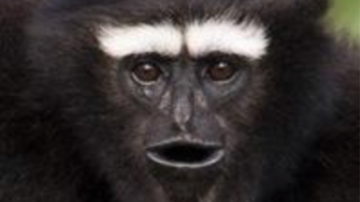 It'll be hell on earth