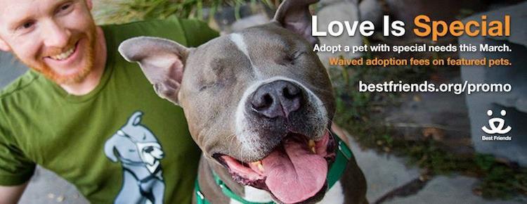 Best Friends Animal Society