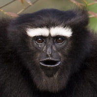 Subscription product