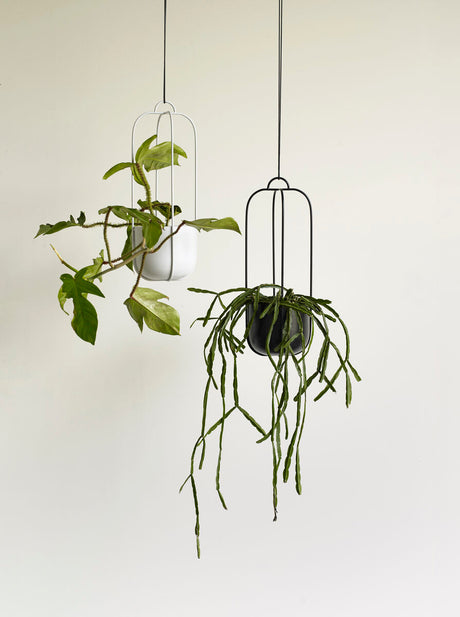 Lotus Hanging Pots Black (set of 2)