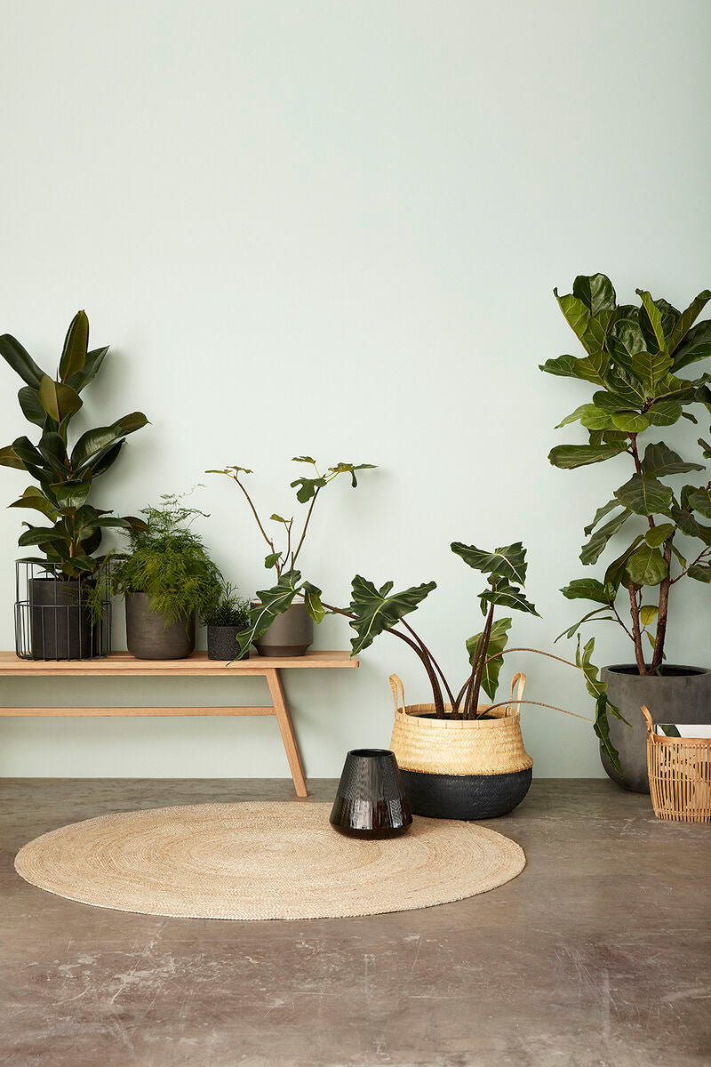 Sage Rug Round Natural