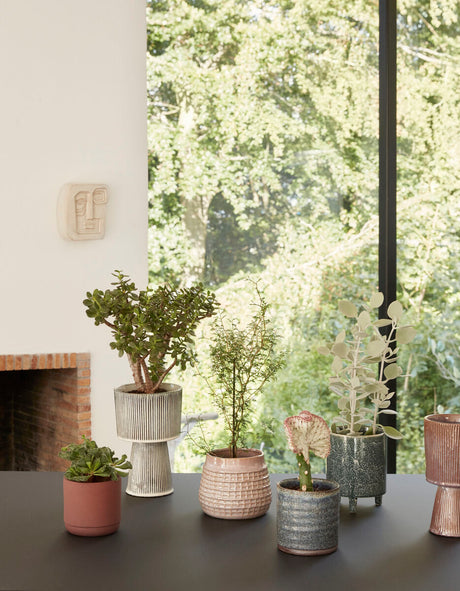 Seed Pots Dark blue (set of 2)