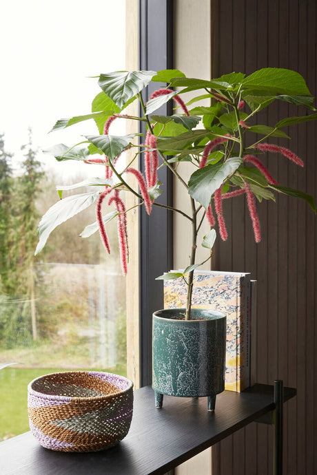 Stand Pots Dark green (set of 2)