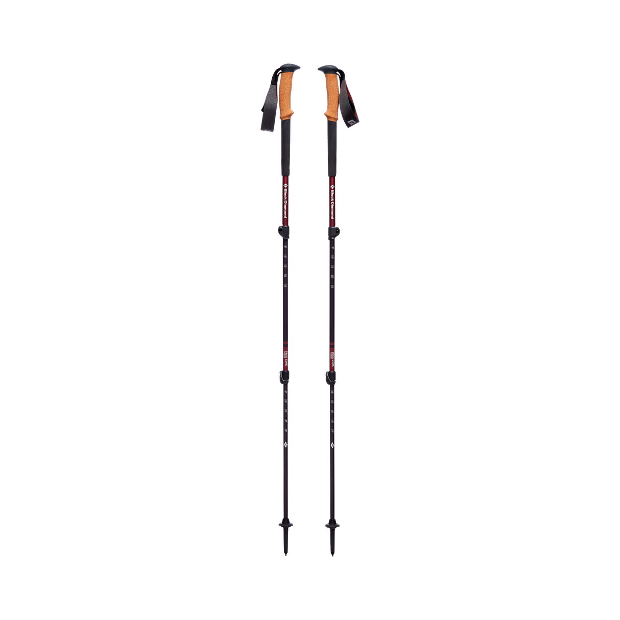 Trail Cork Trekking Poles - Women's
