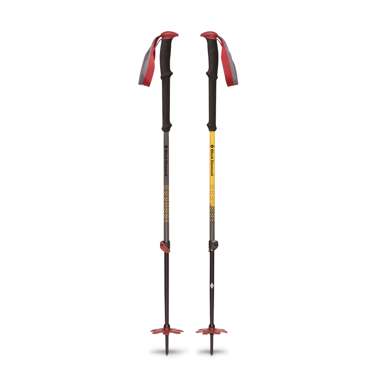 Expedition Johnny Collinson Edition