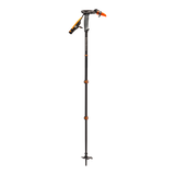 Whippet Ski Pole