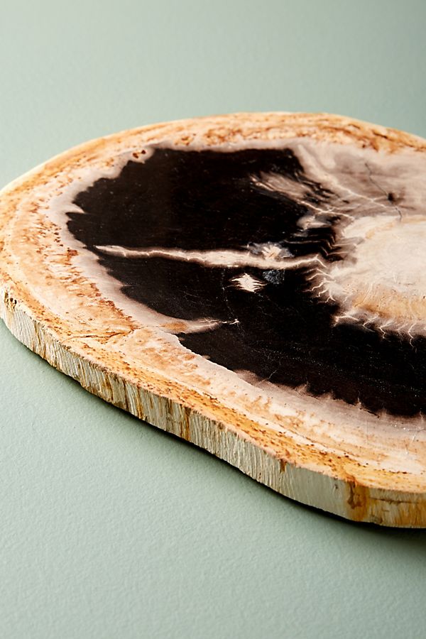 Petrified Wood Cheese Board Bowl