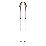 Trail Ergo Cork Trekking Poles