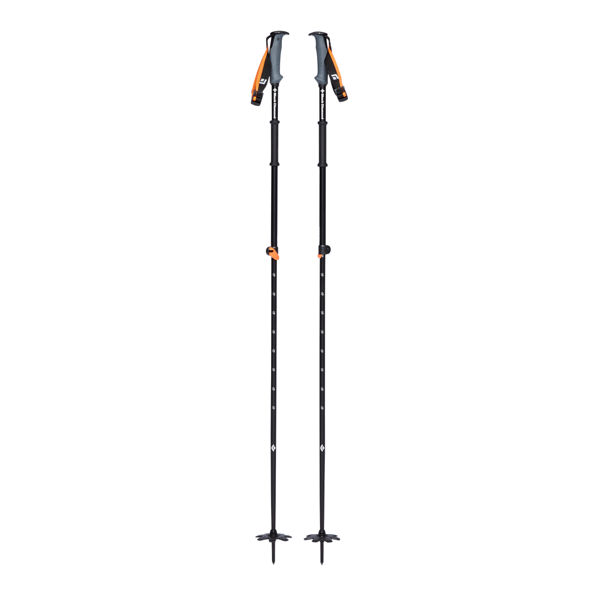 Traverse WR 2 Ski Poles