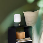 #colour_cozy-green