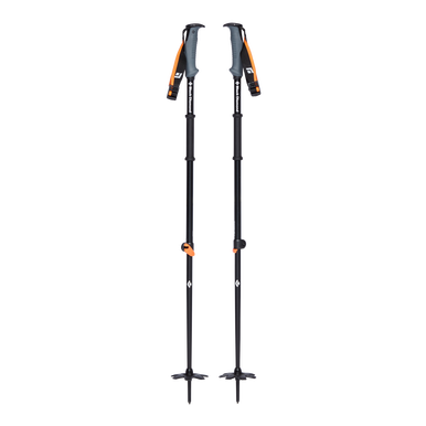 Traverse WR 2 Ski Poles