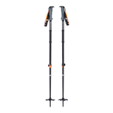 Traverse WR 2 Ski Poles