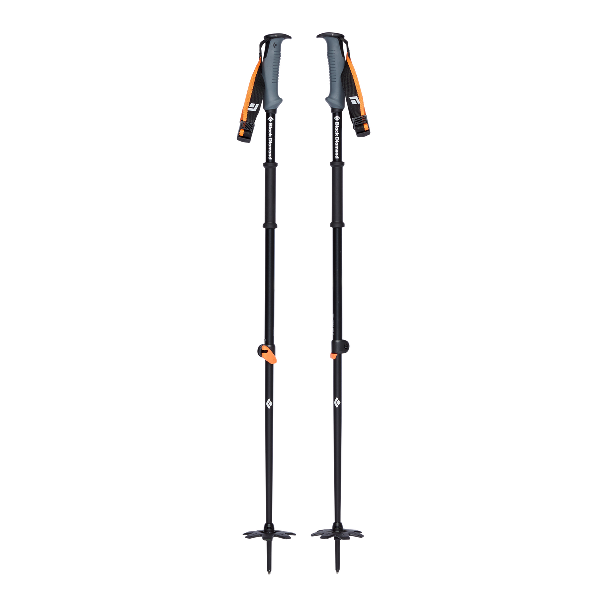 Traverse WR 2 Ski Poles