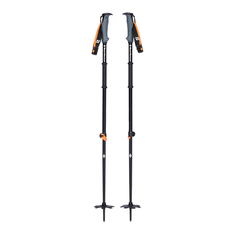 Traverse WR 2 Ski Poles