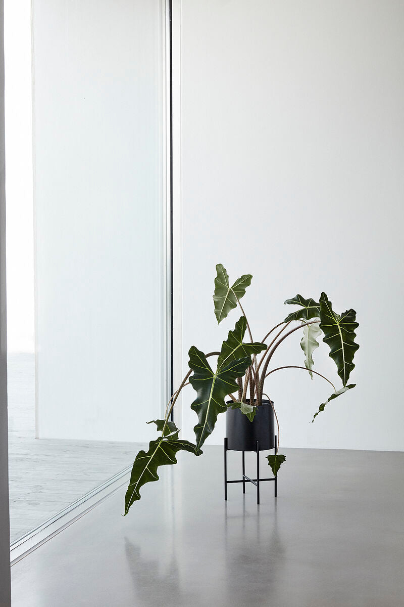 Airy Pots Black (set of 2)