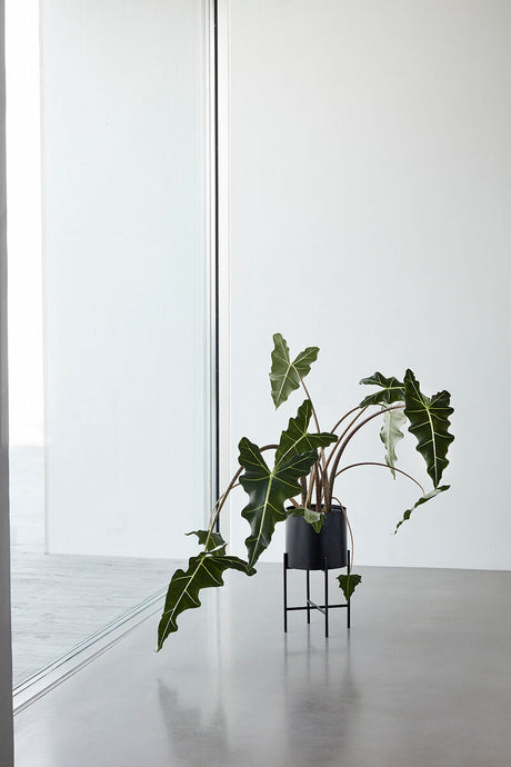 Airy Pots Black (set of 2)