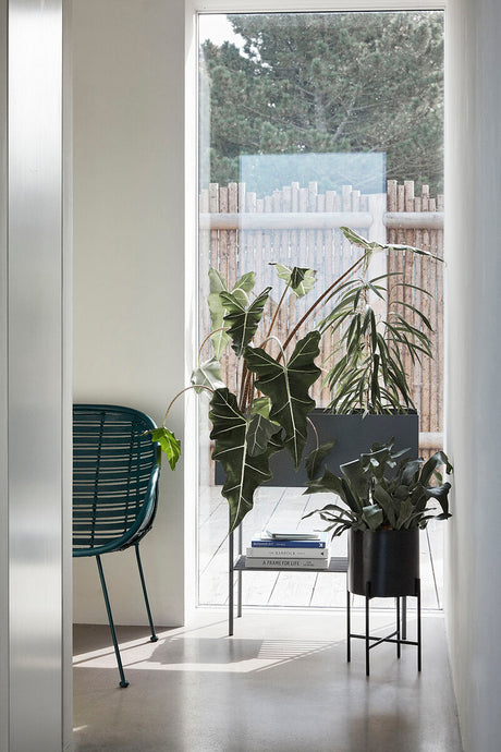 Airy Pots Black (set of 2)