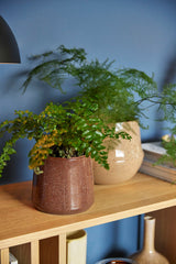 Aki Sideboard Orange/Natural