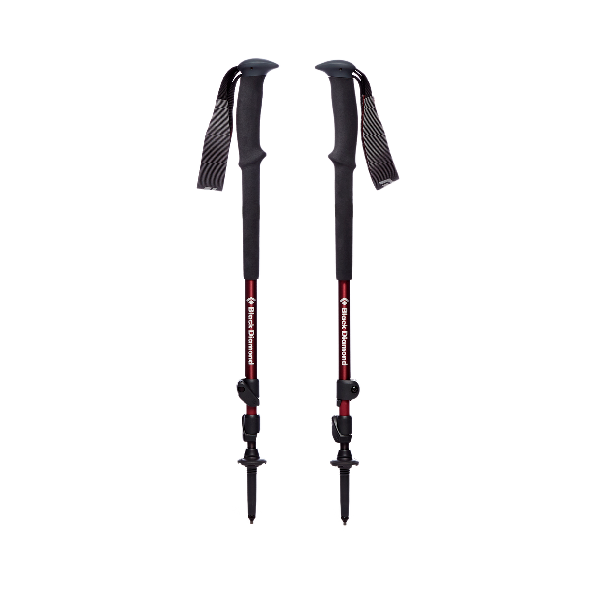 Trail Trekking Poles - Women's