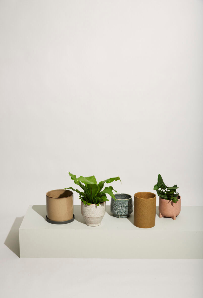Edna Pots Brown (set of 2)