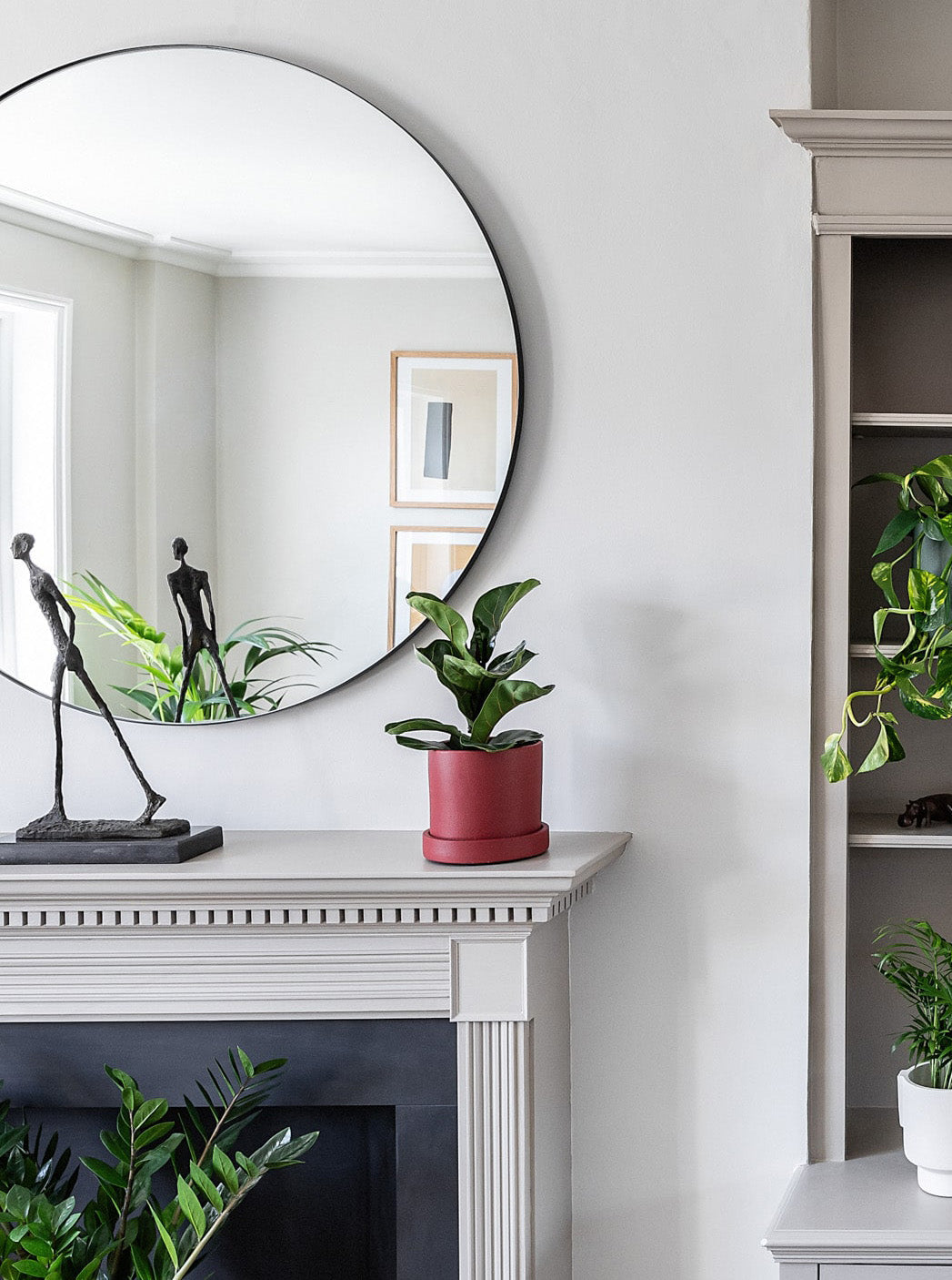 Fiddle Leaf Fig