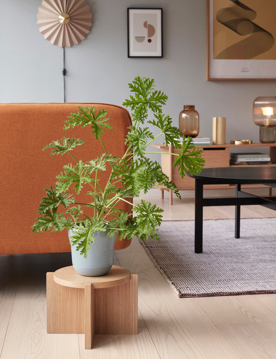 Folk Sideboard Natural
