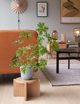 Folk Sideboard Natural