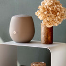 #colour_ivory-sand