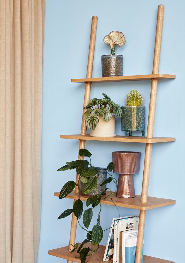 Lean Display Ladder Shelf Natural