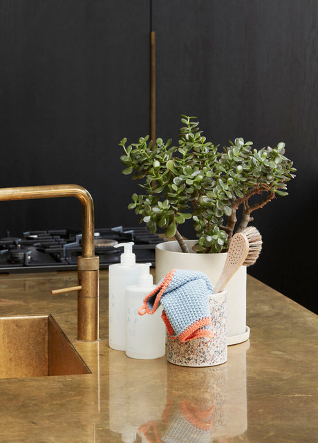 Lifestyle Dish Wash Clear