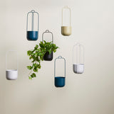 Lotus Hanging Pots Black (set of 2)