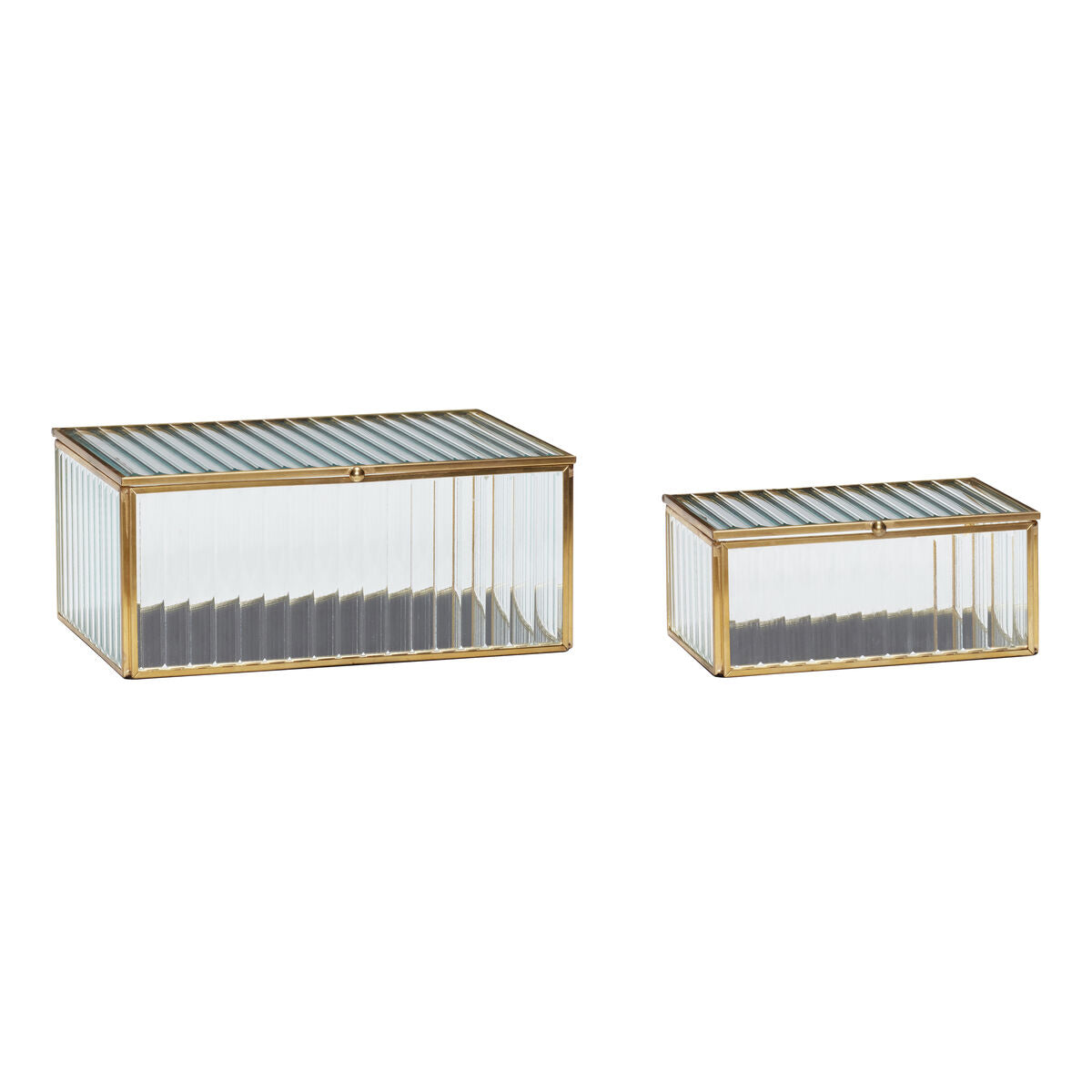 Ripple Glass Boxes Clear/Brass (set of 2)