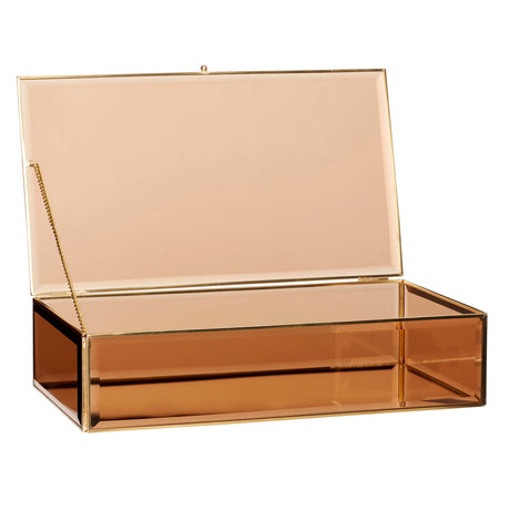 Tint Glass Boxes Large Brass/Amber (set of 2)