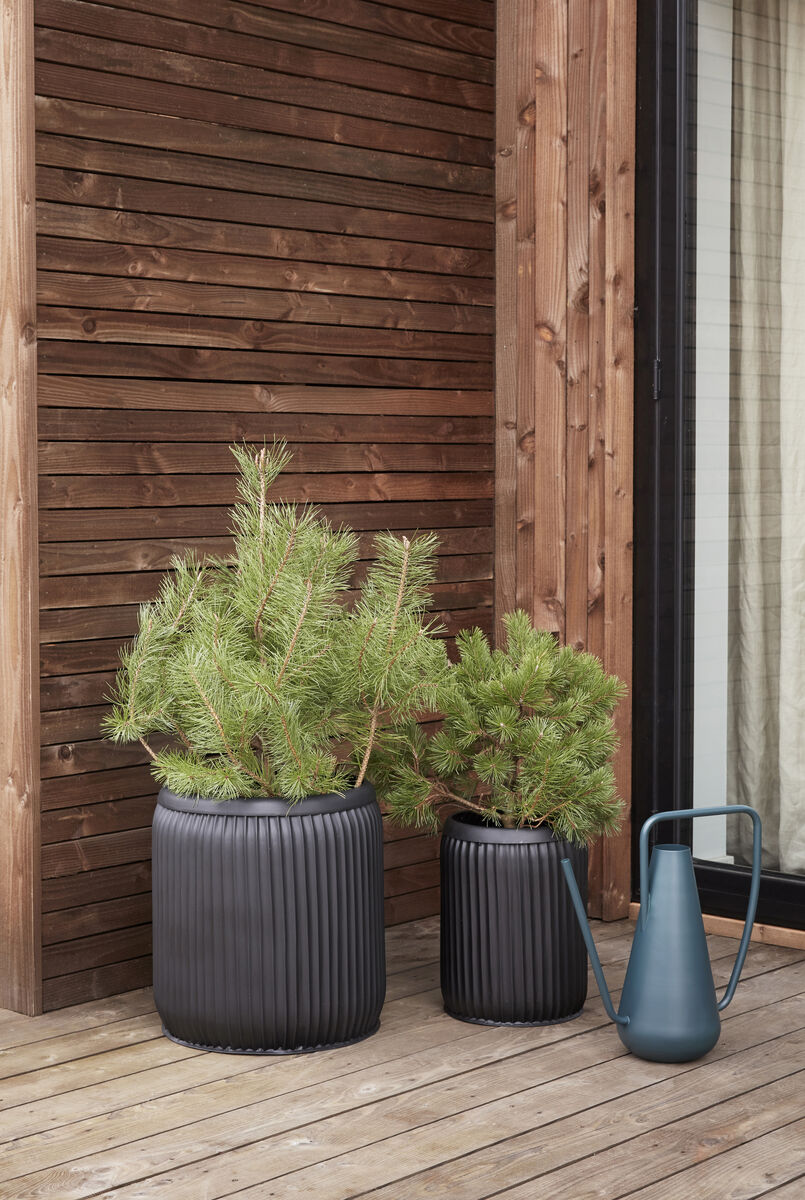 Vale Watering Can 7L Petrol